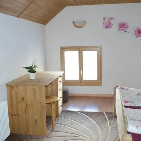 酒店 A La Staziun 2*